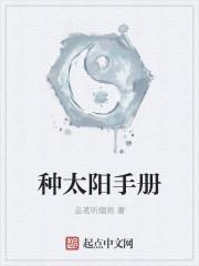 种太阳是什么意思