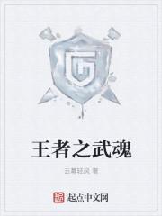 王者武魂斗罗大陆