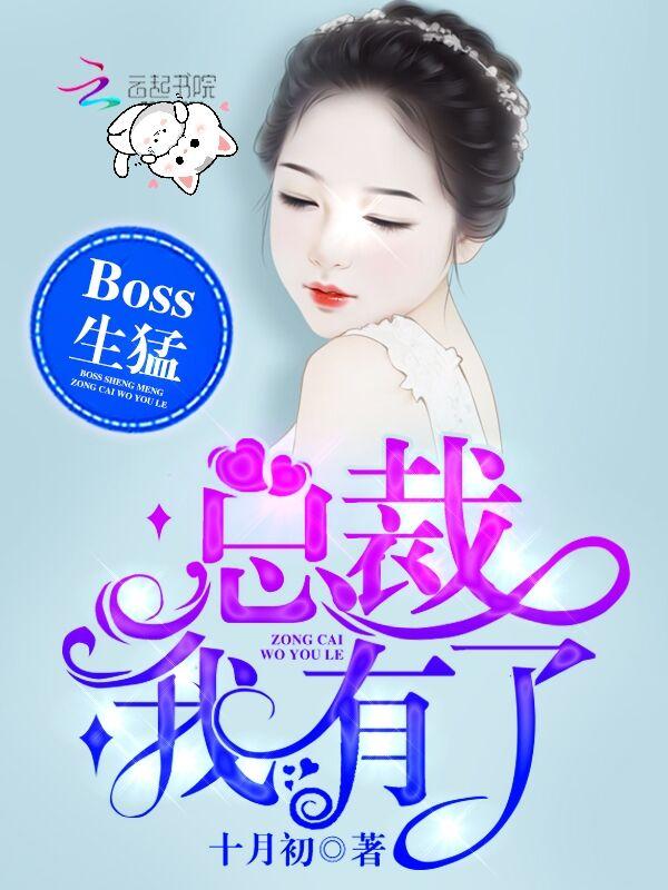 boss 总裁