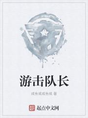 游击队长是什么意思