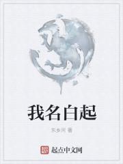 白起粉丝名