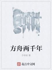 方舟为什么有两个