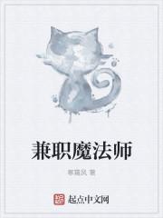 魔法师的职业