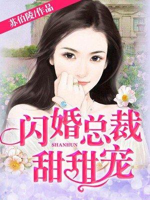 闪婚总裁很甜蜜