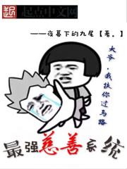 林浩慈善系统