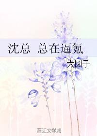 沈总总在氪TXT