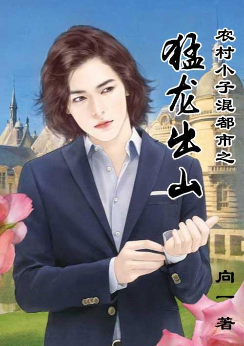 小农民混都市 黄小龙