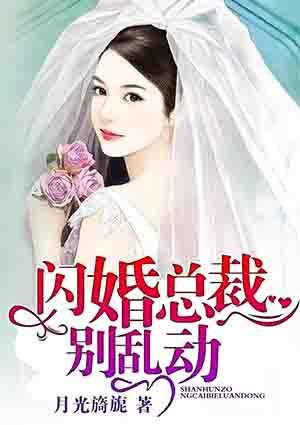 总裁闪婚你别追