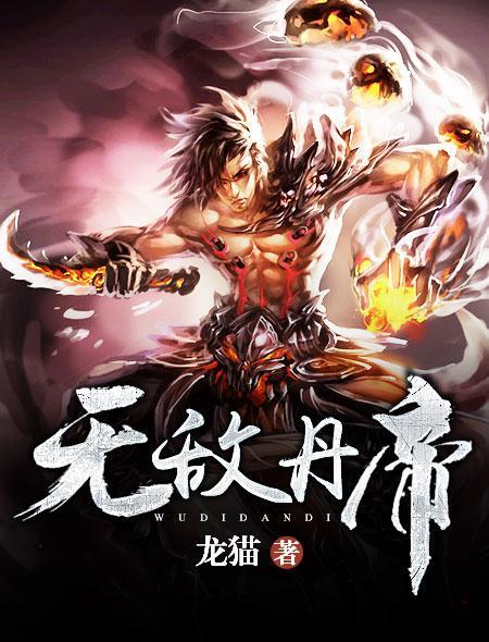 无敌丹帝完整版TXT