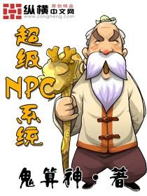 系统npc