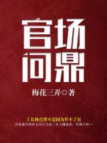 内部游戏攻略大全24关