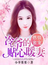 闪婚蜜爱冷少请温柔