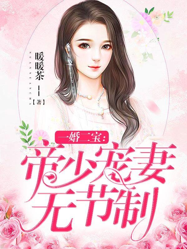 一婚二宝帝少宠妻无节制有声