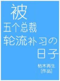 被5个总裁