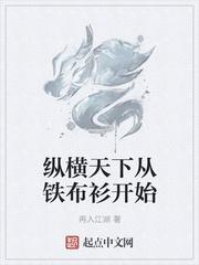 纵横天下从铁布衫开始精校版