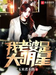 我老婆是大明星epub