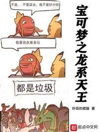 宝可梦之龙系天王起点