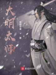 大明太师txt完整版