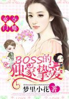 豪门夺婚boss的独家挚爱