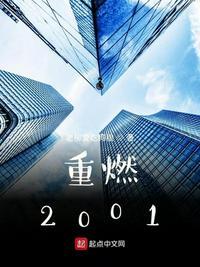 重燃2001怎么没了