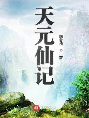 天元仙记无错版