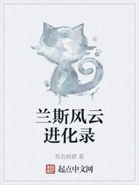 兰斯风云进化录东乡