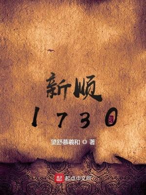 类似新顺1730