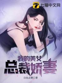 我的美女总裁老婆搜狐百科