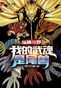 纵横斗罗从万磁王武魂开始