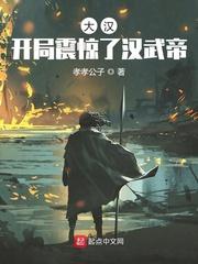 大汉开局震惊了汉武帝孝孝公子