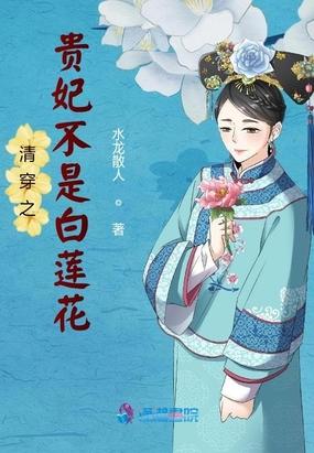 清穿之贵妃不是白莲花晋江