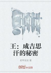 术赤王成吉思汗什么人