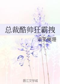 总裁酷帅狂霸拽TXT免费