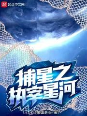 捕星之执宰星河顶点