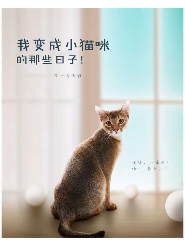 我变成小猫咪的那些日子作文