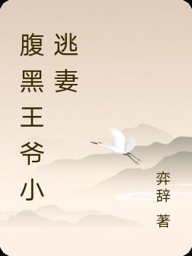 妃藏空间腹黑王爷小逃妻