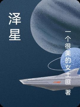 泽星投资有限公司简介