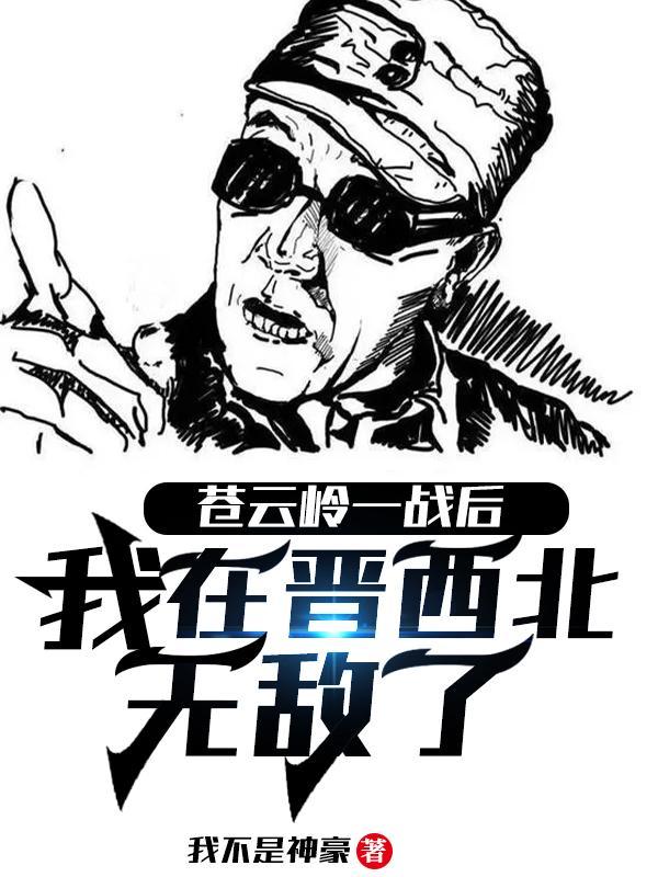 苍云岭之战