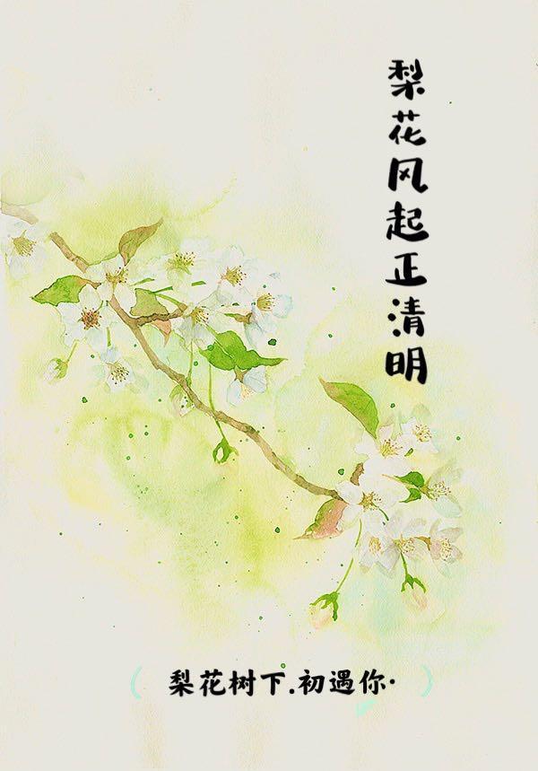 梨花风起正清明游子寻春半出城是什么节日