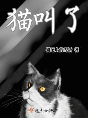 猫叫了一天一夜没停