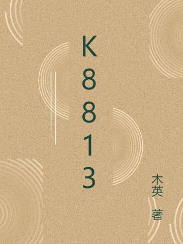 k88133