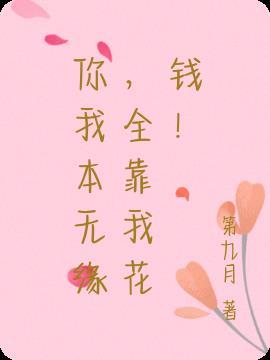 你我本无缘全靠我花钱下一句