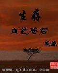 血色苍穹11