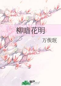 柳暗花明小品