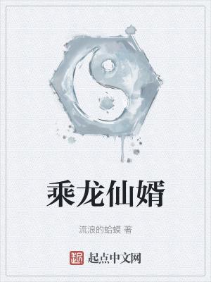 乘龙仙婿无错版