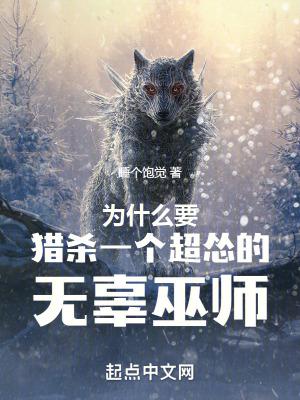 为什么要猎杀一个超怂的无辜巫师书评