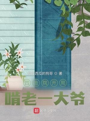 四合院开局啃老一大爷TXT棉花糖