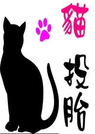 猫投胎做了我的孩子