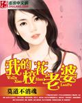 我的校花老婆读后感