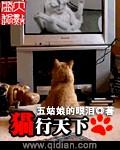 猫行天下公司